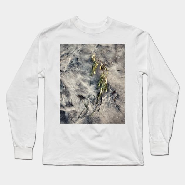 Seaweed Studies 36 Long Sleeve T-Shirt by goodieg